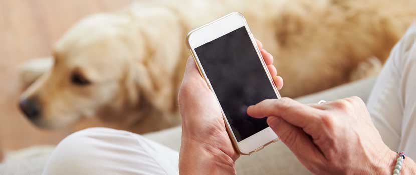 클라레온 삽입술